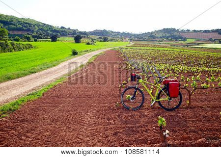 La Rioja vineyard fields biking in The Way of Saint James with bike