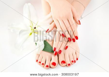 Manicure and Pedicure in beauty salon. Spa, skin care, moisturizing concept. Healthy Female hands and legs with beautiful nails. Soft skin, skincare concept. Beauty nails, varnish