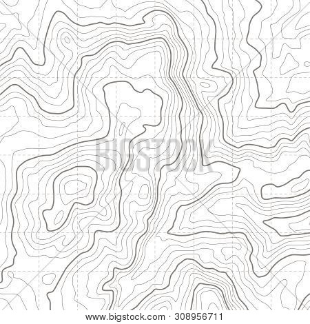 Topographic Map. Geographical Location Lines, Cartography Contour Line Nature Trails Relief Texture 