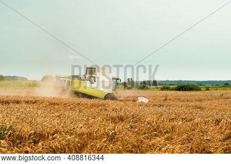 Rotary Straw Walker Cut And Threshes Ripe Wheat Grain. Combine Harvesters With Grain Header, Wide Ch