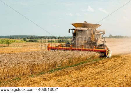 Rotary Straw Walker Cut And Threshes Ripe Wheat Grain. Combine Harvesters With Grain Header, Wide Ch