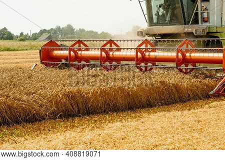 Rotary Straw Walker Combine Harvester Cuts And Threshes Ripe Wheat Grain. Platform Grain Header With