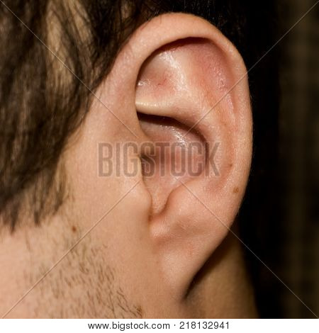 Male ear. Adherent earlobe close-up. Square photo.