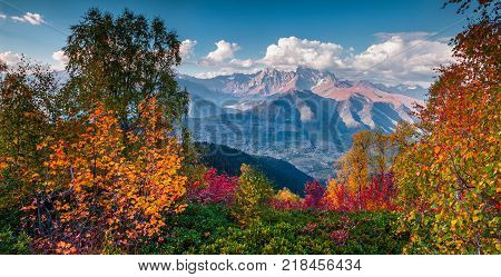 Colorful autumn landscape in the Caucasus mountains. Sunny morning scene with mountain Ushba on the background. Mkheer Svaneti Georgia Europe. Artistic style post processed photo.