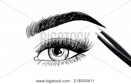 Eyes With Eyebrow And Long Eyelashes And Tweezers To Build. Logo For Eyebrow Mater, Eyelash Extensio