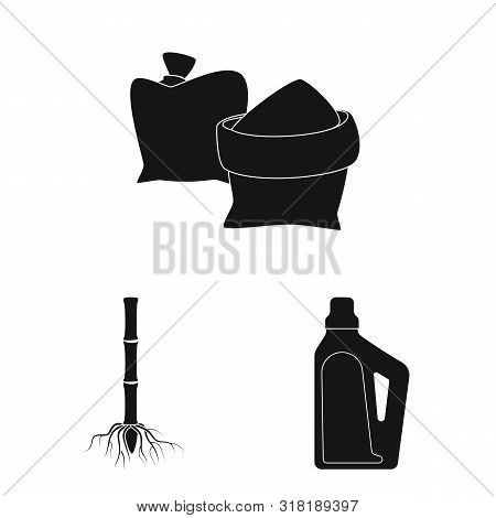 Vector Illustration Of Sucrose And Technology Icon. Collection Of Sucrose And Cane Vector Icon For S