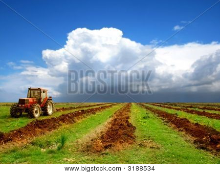 Agriculture