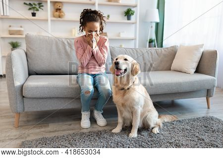 Animal Allergy. African American Girl Sneezing, Suffering From Nasal Congestion