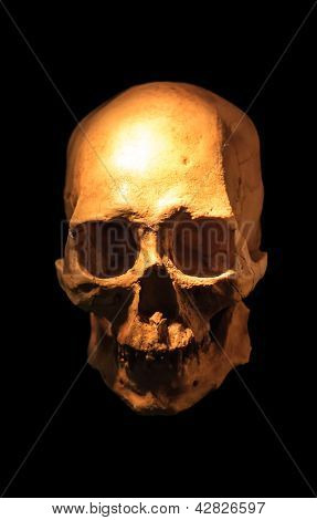 Human skull on a black background