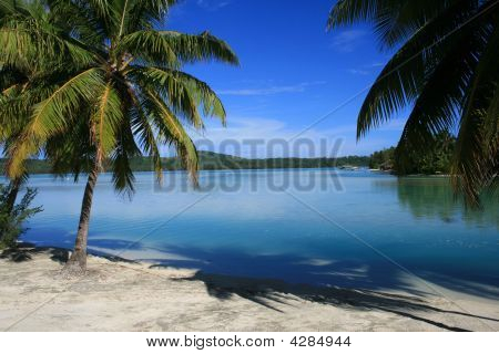 Tropical Beach