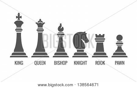 Named chess piece vector. Icons set of chess figures queen and king, illustration rook pawn and knight for chess