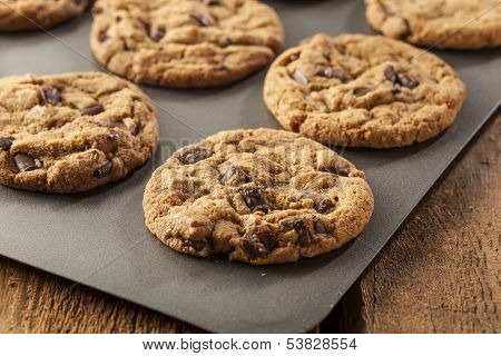 Homemade Chocolate Chip Cookies