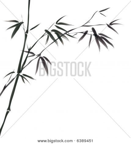 Chinese Painting Of Bamboo