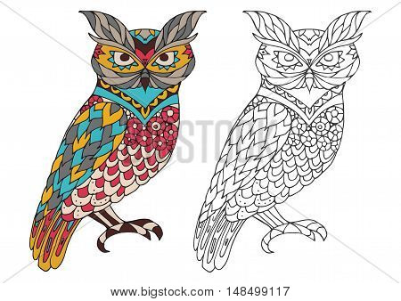 Printable coloring book page for adults - owl design, activity to older children and relax adult. vector coloring book with Islam, Arabic, Indian, ottoman motifs. colorful and outline options