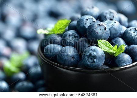 Blueberry antioxidant organic superfood in a bowl concept for healthy eating and nutrition