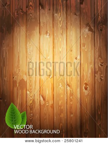 Vector background en bois.