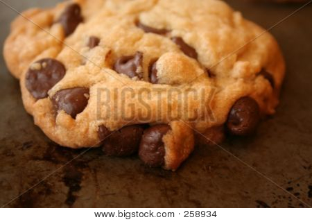 Chocolate Chip Cookie