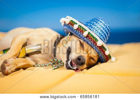 Drunk Mexican Dog