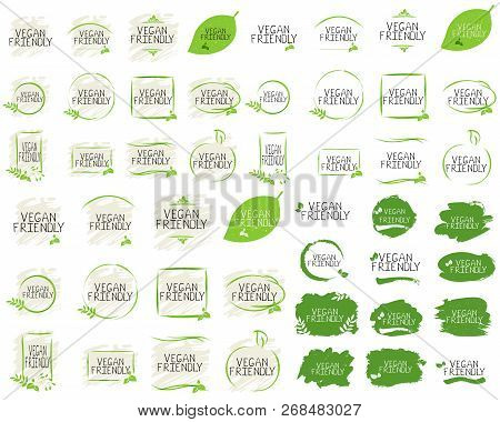 Vegan Friendly Collection Label And High Quality Product Badges. Bio Home Made Food Organic Product 