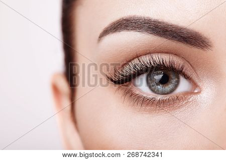 Female Eye With Extreme Long False Eyelashes. Eyelash Extensions. Makeup, Cosmetics, Beauty. Close U