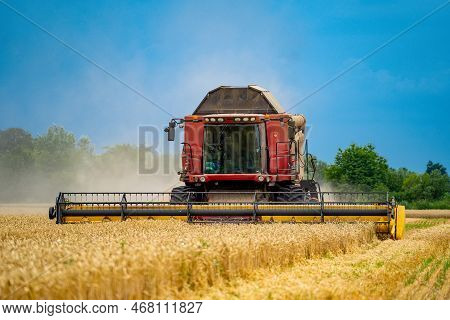 Special Machine Harvesting Crop In Fields, Agricultural Technic In Action. Ripe Harvest Concept. Cro