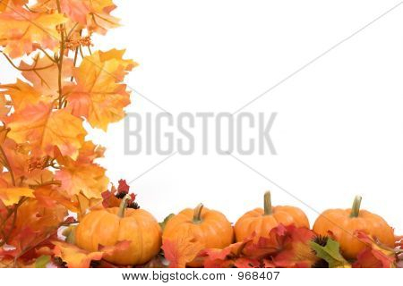 Citrouilles avec des feuilles d'automne