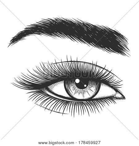 Beautiful lady eye hand drawn vector illustration. Closeup woman mascara makeup sketch isolated on white background