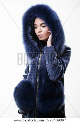 Luxurious Fur. Girl Posing Hooded Fur Coat. Female With Makeup Wear Dark Blue Soft Fur Coat. Woman W