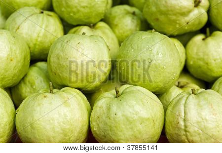 Fresh Guava Fruit