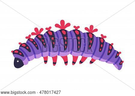 Purple Caterpillar As Larval Stage Of Insect Crawling And Creeping Vector Illustration