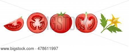 Cartoon Tomatos. Red Tomato Cut Slice Half Quarter Fruits Leaves And Flowers Isolated On White Backg