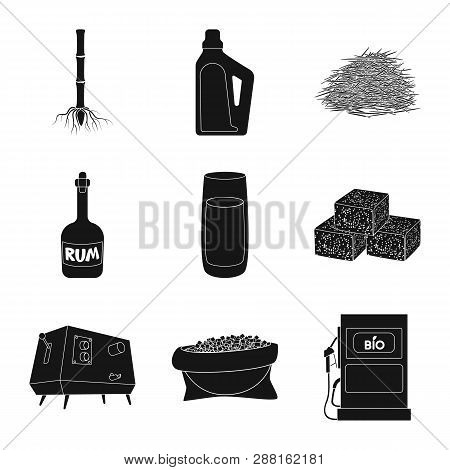 Vector Illustration Of Sucrose And Technology Logo. Set Of Sucrose And Cane Stock Vector Illustratio