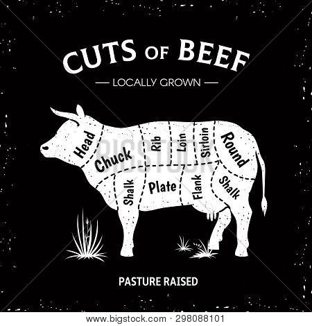 Butcher Cow Poster. White Beef Diagram, Cow Silhouette Vintage Logo, Restaurant Menu Beef Cut Templa