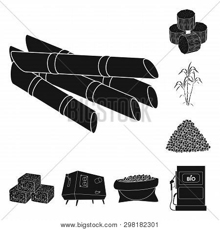 Isolated Object Of Sucrose And Technology Sign. Collection Of Sucrose And Cane Vector Icon For Stock