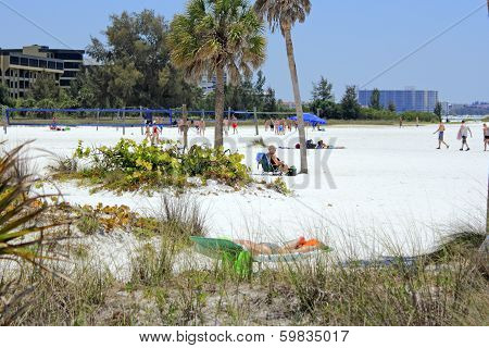 Volleyball Area On Siesta Beach