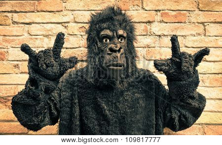 Funny Fake Gorilla With Rock And Roll Hand Gesture - Hipster Concept Of Anthropomorphic Evolution