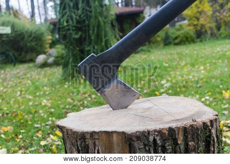 Axe in stump. Axe ready for cutting timber.Woodworking tool. Lumberjack axe in wood chopping timber. Travel adventure camping gear outdoors items