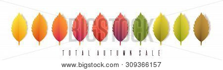 Total Autumn Sale Banner. Colorful Leaves On White Background .trendy Origami Paper Cut Style Vector