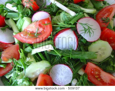 Insalata