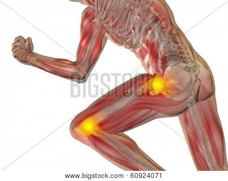 Conceptual 3D human man anatomy or health design, joint or articular pain, ache injury isolated on white background, for medical, fitness, medicine, bone, care, hurt, osteoporosis, arthritis or body