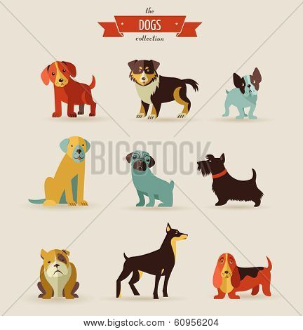 Dogs vector set of icons and illustrations