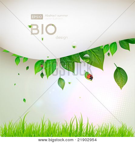 Bio concept ontwerp eco vriendelijke voor zomer floral banner