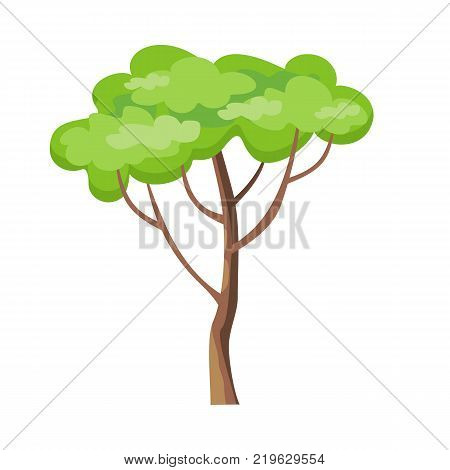 Tree with green leaves. Vector tree icon. Tree forest, leaf tree isolated, tree branch nature green, plant eco branch tree, organic natural wood illustration. Vector illustration