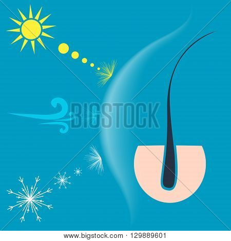 Vector illustration of a hair follicle protected by a shield from the sun wind and snow. Hair protection concept.