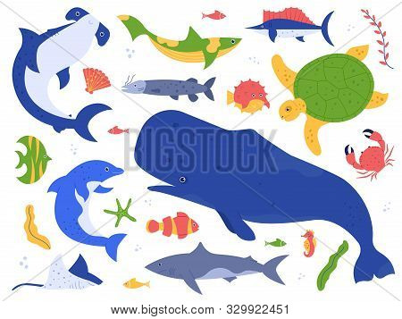 Sea Animals Species. Ocean Animals In Their Natural Habitat. Cute Whale, Dolphin, Shark And Turtle V