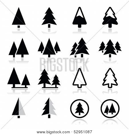 Pine tree vector icons set