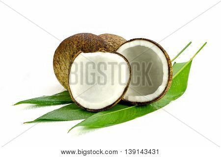 Cut Coconut Shell With Fresh Organic Coconut Kernel.