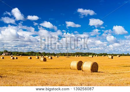 Stacks Of Straw - Bales Of Hay, Rolled Into Stacks