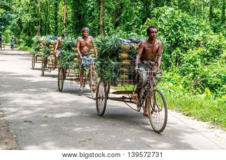 Pineapple Seller