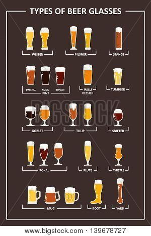 Beer glasses types guide. Beer glasses and mugs with names. Vector illustration in flat style.